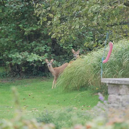 Apartman Sehnsucht Schlei