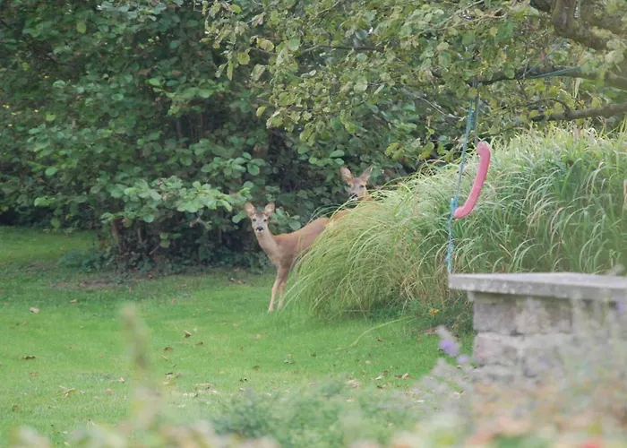 Apartman Sehnsucht Schlei